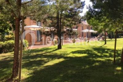 Jardin avec pelouse, arbres et pot en terre cuite au premier plan, éclairé par une lumière douce en fin de journée.