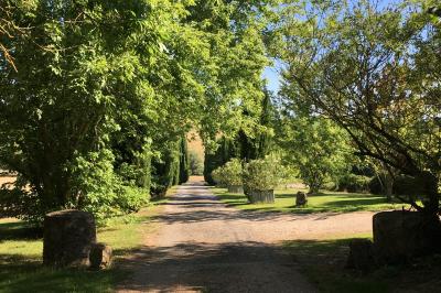 Jardin avec pelouse, arbres et pot en terre cuite au premier plan, éclairé par une lumière douce en fin de journée.