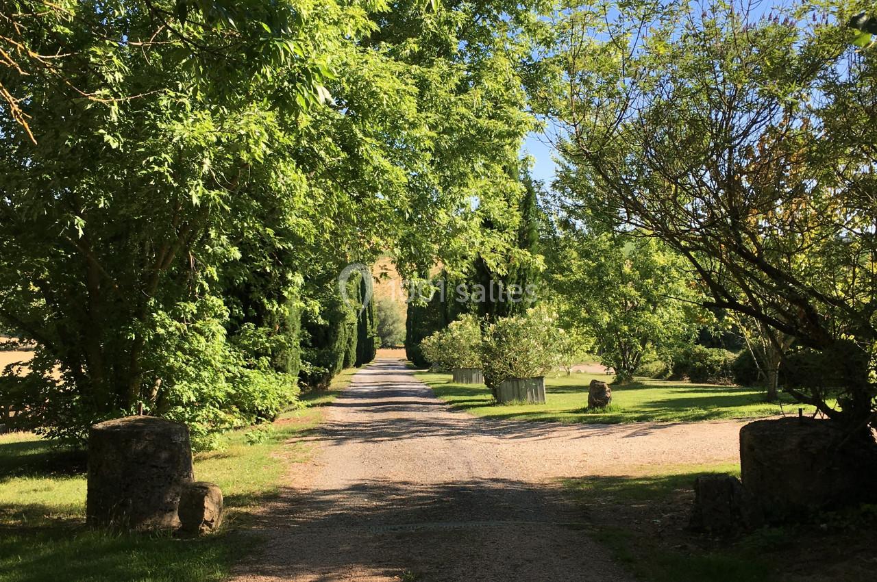 Allée ombragée bordée d'arbres et de verdure sous un ciel bleu clair.