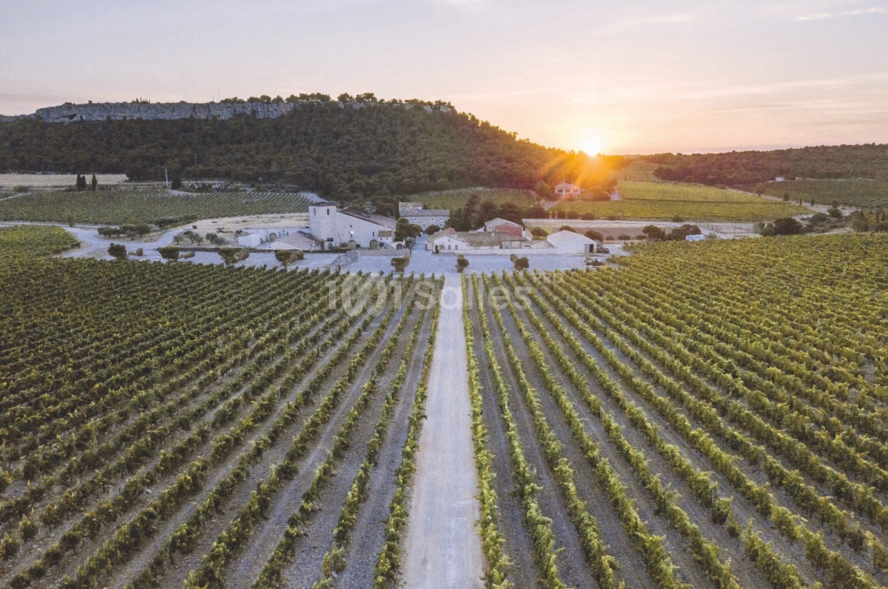 Le domaine de Château l'Hospitalet Wine Resort Beach & Spa