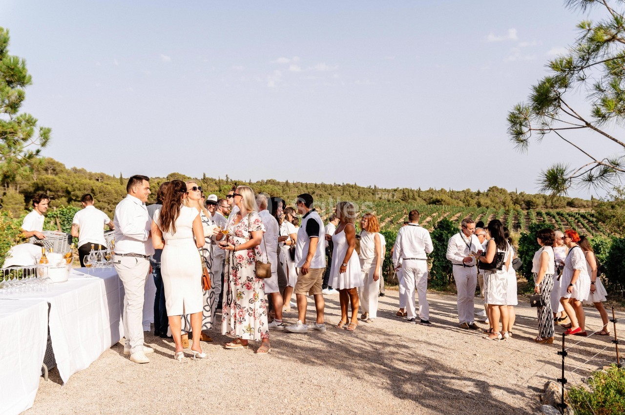 Vin d'honneur face aux vignes