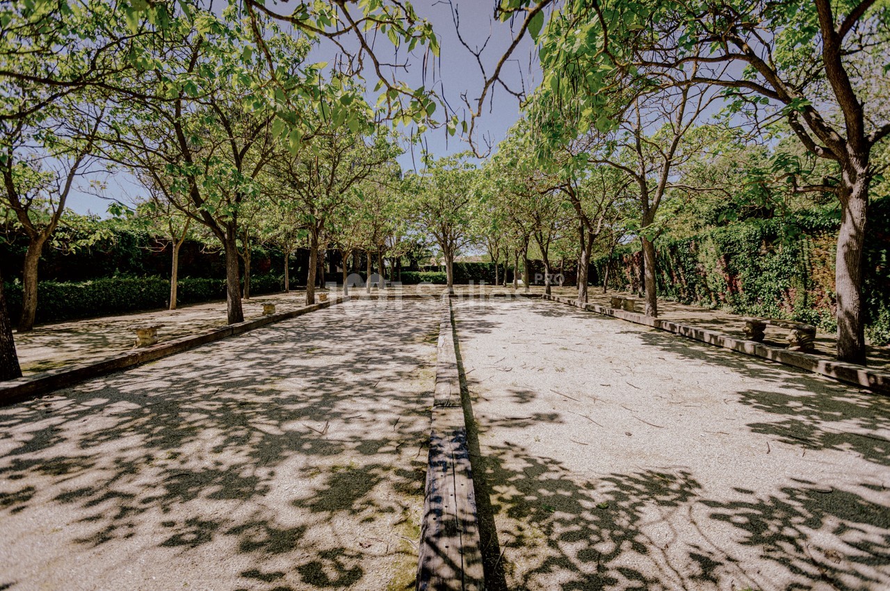 Allée ombragée bordée d'arbres avec un sol en gravier, entourée de haies verdoyantes.