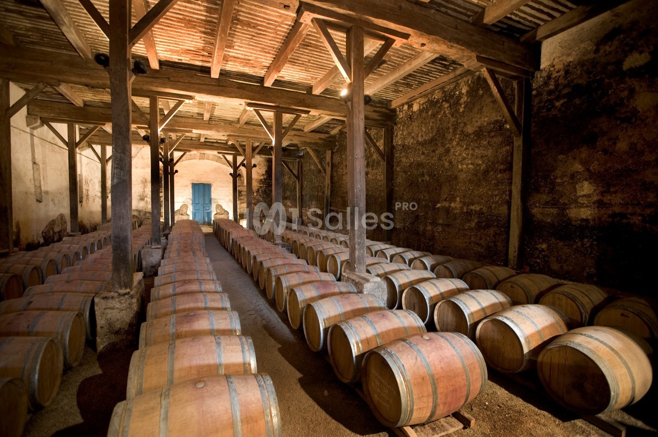 Château de Raissac - galerie - photo 10