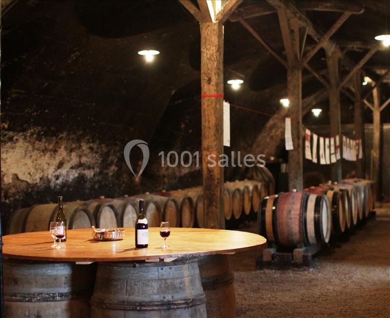 Location salle Quincié-en-Beaujolais (Rhône) - Château De Varennes #22