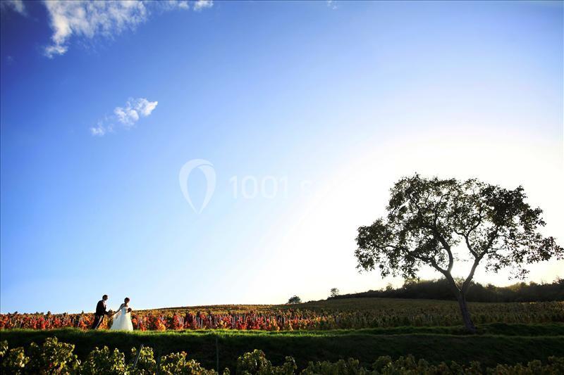 Location salle Quincié-en-Beaujolais (Rhône) - Château De Varennes #16