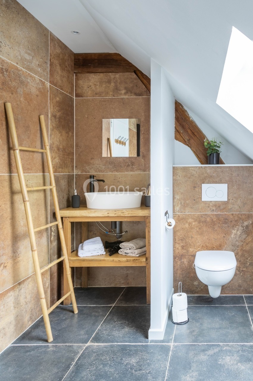 Salle de bain moderne avec mur en carrelage effet pierre, lavabo sur meuble en bois, échelle en bambou et toilettes…