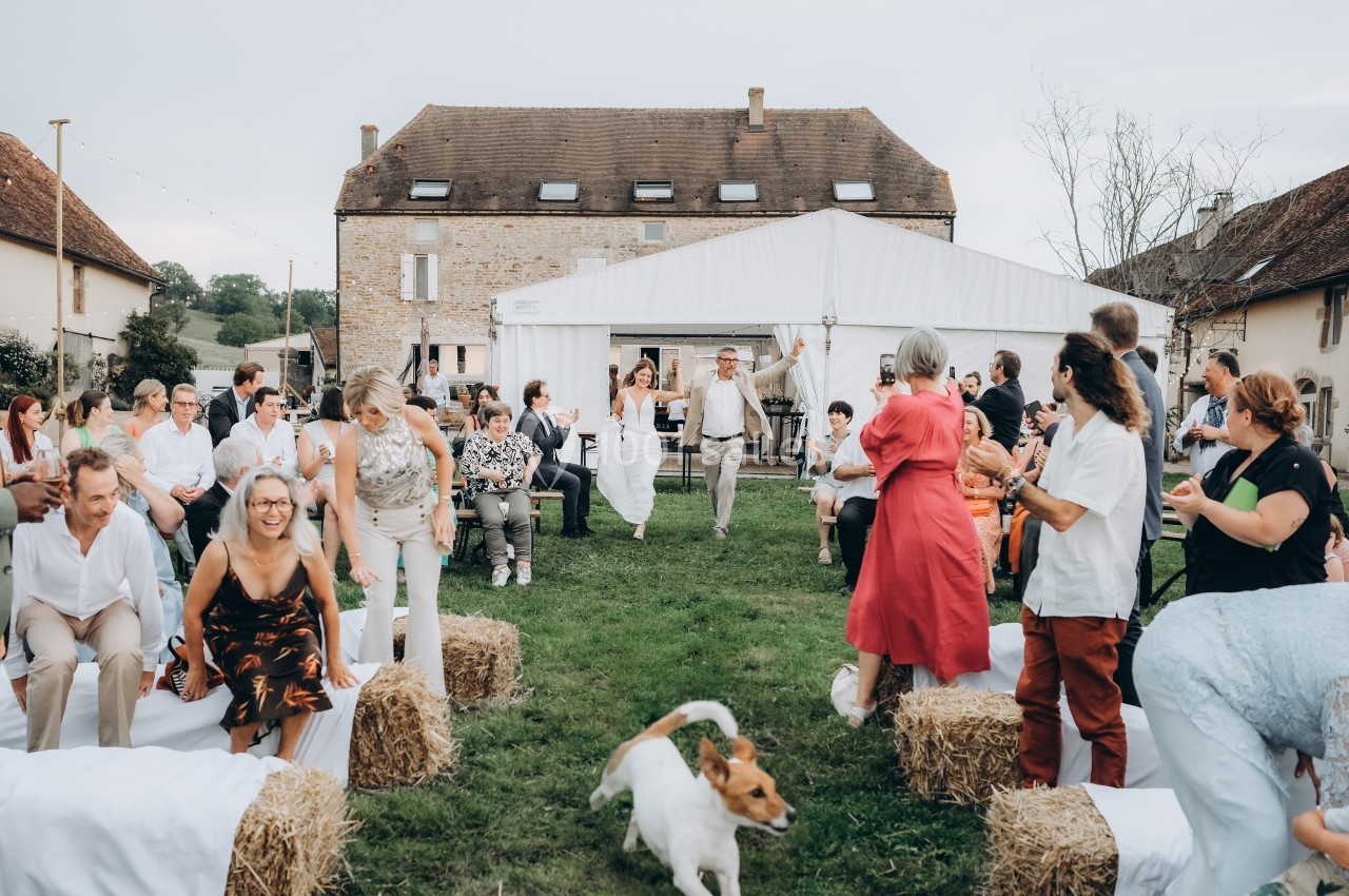 Des invités assis en extérieur assistent à une cérémonie de mariage devant une tente blanche, avec un chien au premier plan.