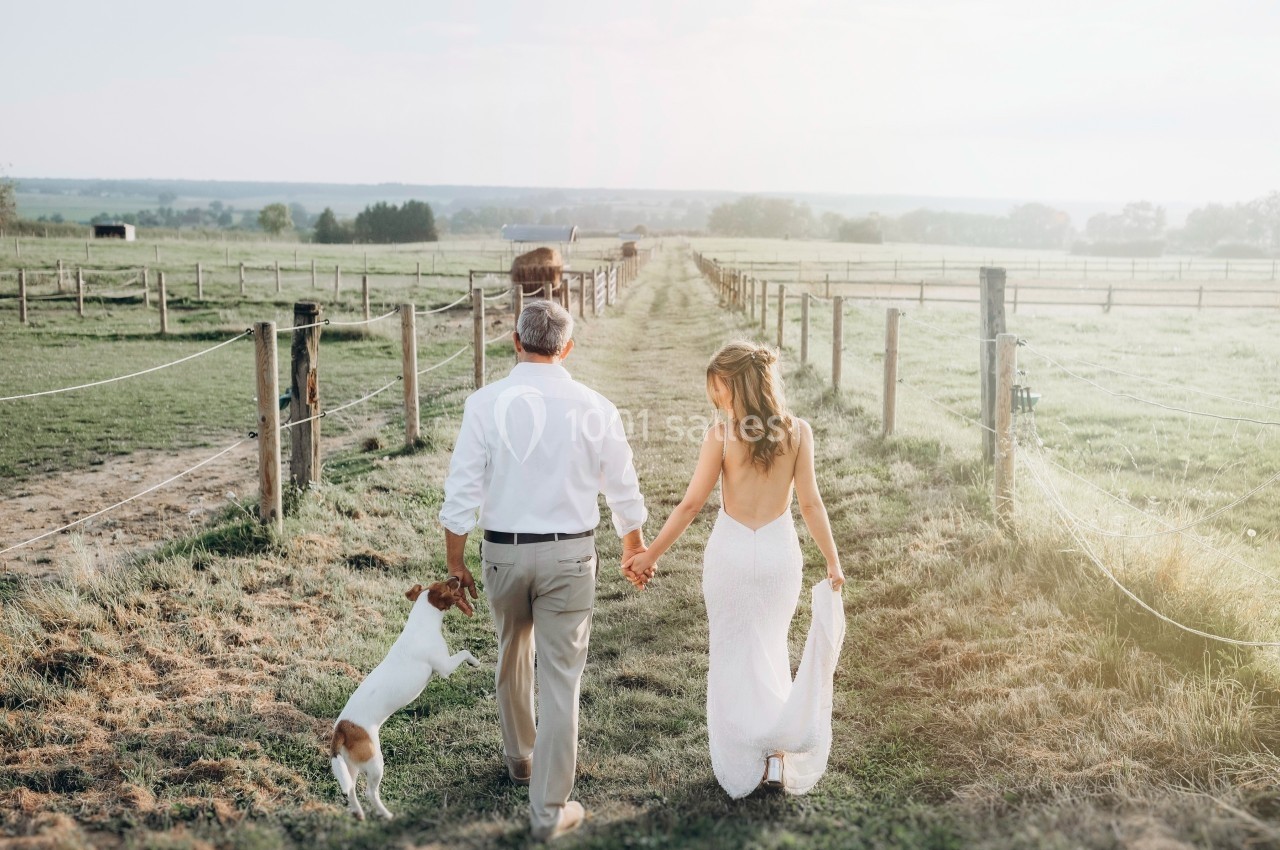 Un couple en tenue de mariage marche main dans la main dans un champ, suivi par un chien sautant joyeusement.