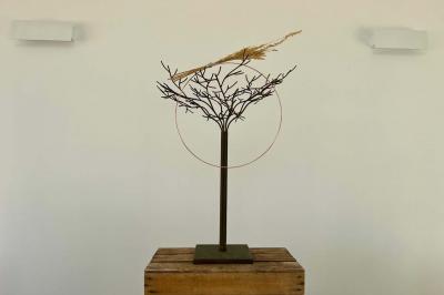 Miniature Location salle Artigues (Var) - Domaine de la Mongestine #42 Bouteille de vin rosé entourée de verres vides sur une table en bois, avec une plante en arrière-plan.