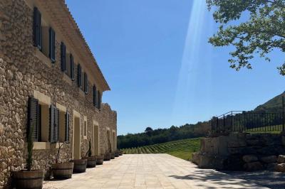 Miniature Location salle Artigues (Var) - Domaine de la Mongestine #9 Bouteille de vin rosé entourée de verres vides sur une table en bois, avec une plante en arrière-plan.