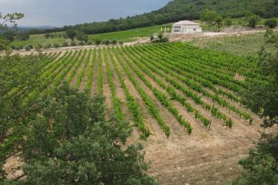 Miniature Location salle Artigues (Var) - Domaine de la Mongestine #43 Bouteille de vin rosé entourée de verres vides sur une table en bois, avec une plante en arrière-plan.