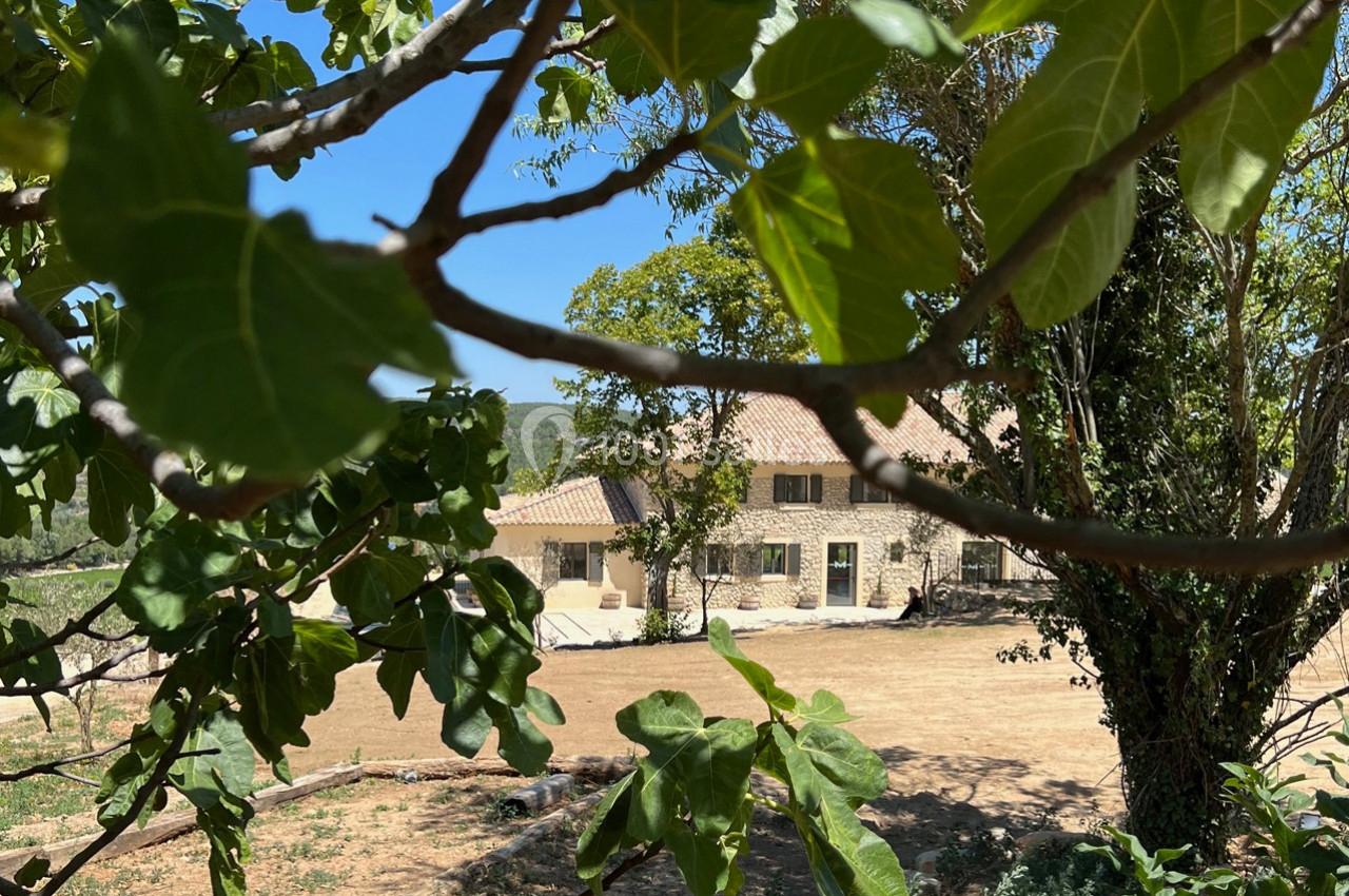 Vue d'une maison en pierre entourée de végétation, partiellement encadrée par des branches de figuier au premier plan.