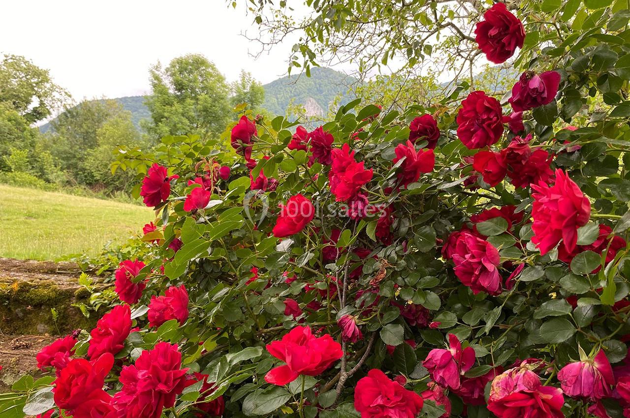 Location salle Sainte-Colome (Pyrénées-Atlantiques) - Les Jardins du Cot #25