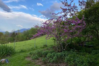 Miniature Location salle Sainte-Colome (Pyrénées-Atlantiques) - Les Jardins du Cot #23 Location salle Sainte-Colome (Pyrénées-Atlantiques) - Les Jardins du Cot #25