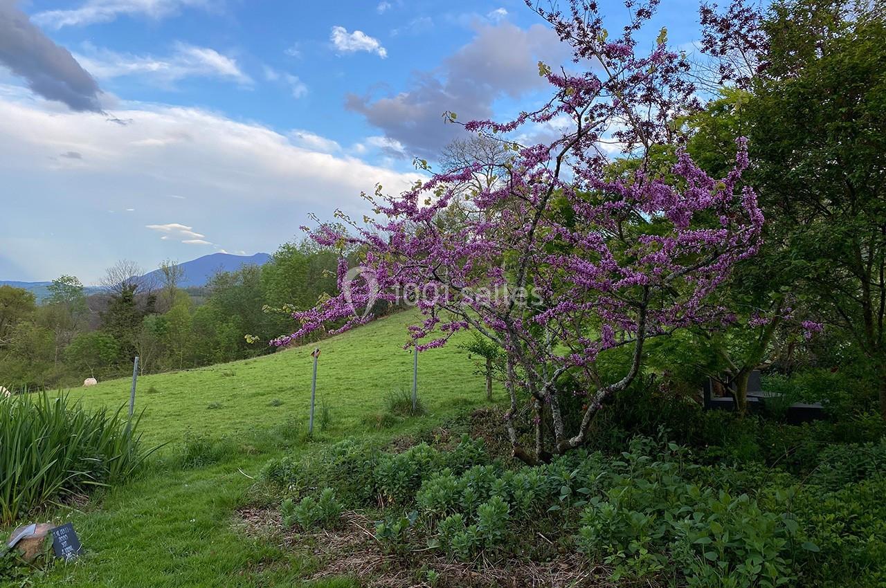 Location salle Sainte-Colome (Pyrénées-Atlantiques) - Les Jardins du Cot #23