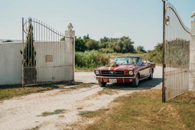 Domaine des Montilles - photo 5