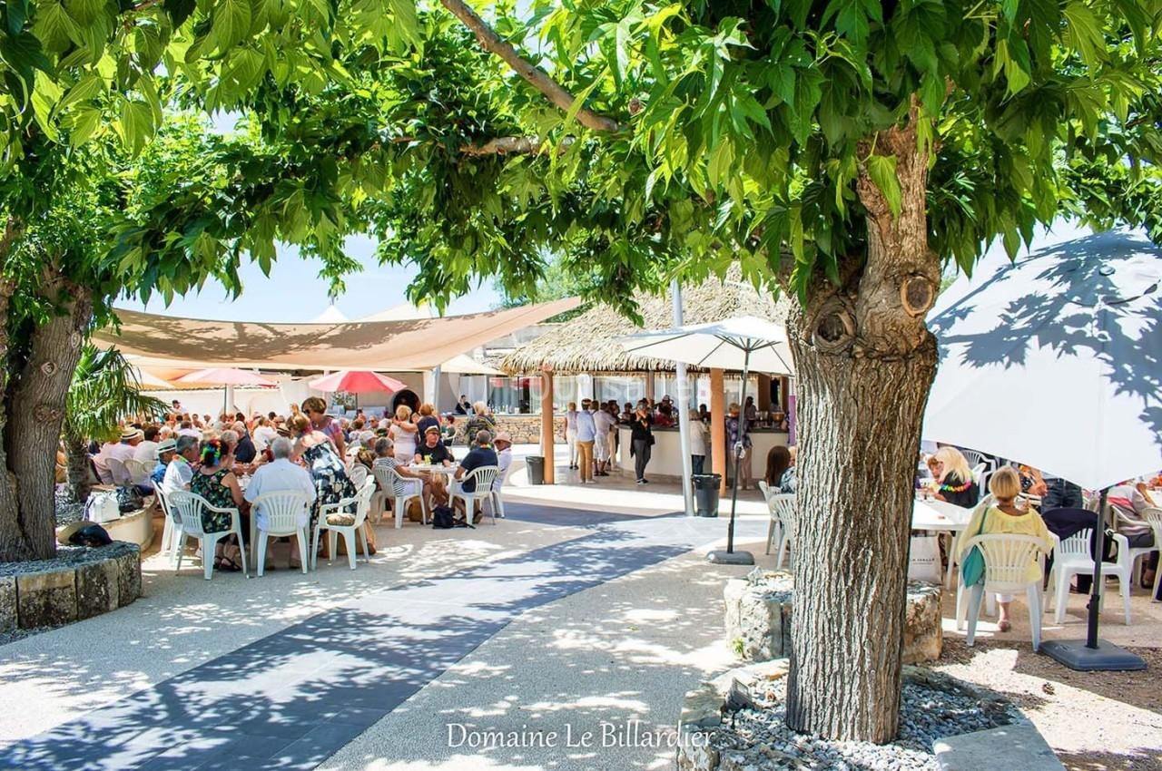 Groupe de personnes assises sous des arbres et des parasols près d'un bar extérieur par une journée ensoleillée.