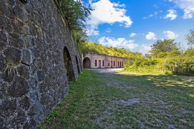 Deux structures en pierre recouvertes de végétation dans un espace herbeux entouré d'arbres.