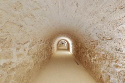 Deux structures en pierre recouvertes de végétation dans un espace herbeux entouré d'arbres.