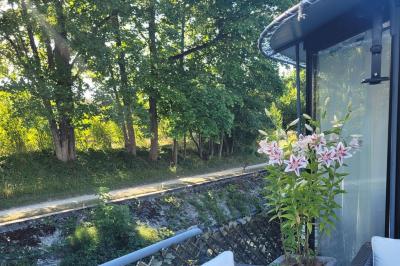 Miniature Location salle Boulogne-Billancourt (Hauts-de-Seine) - La Péniche So Chic #11 Plateau de mini-sandwichs variés, verrines et décorations florales comestibles, présenté sur une table.