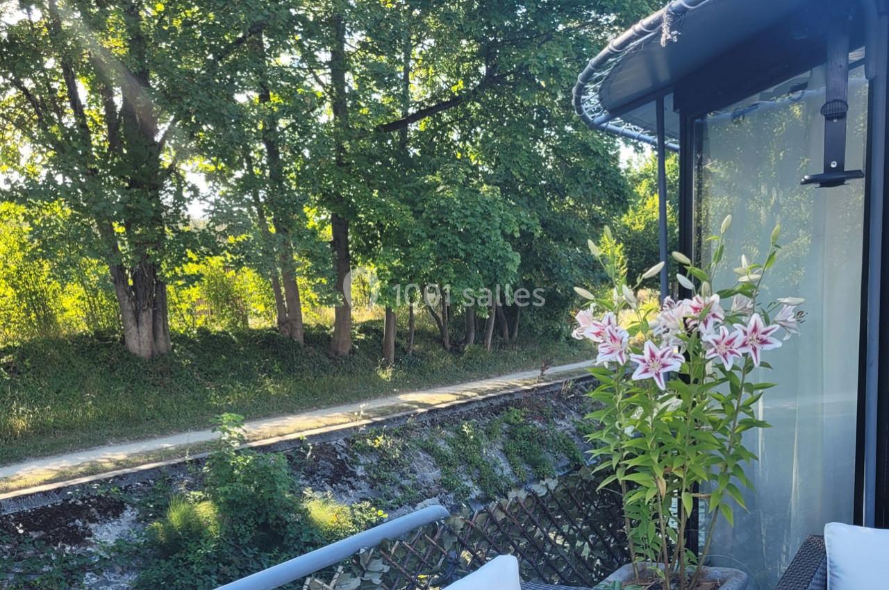 Fleurs de lys roses sur une terrasse ensoleillée, avec vue sur un chemin bordé d'arbres et de verdure.