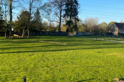 Des chèvres se tiennent près d'une clôture dans un champ herbeux entouré de barrières en bois.