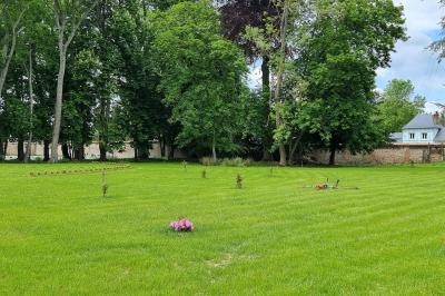 Des chèvres se tiennent près d'une clôture dans un champ herbeux entouré de barrières en bois.