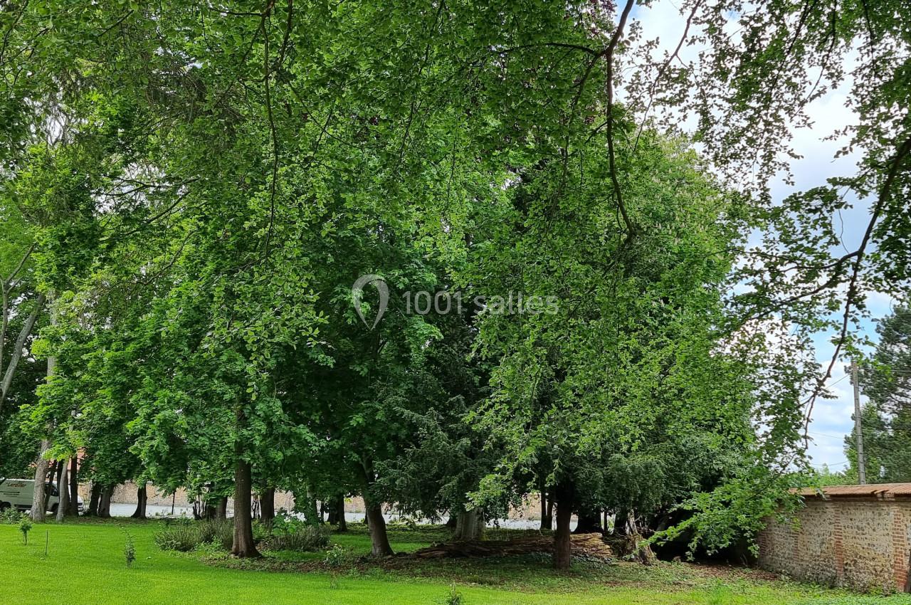 Un parc verdoyant avec de grands arbres, une pelouse bien entretenue et un mur en briques à droite.