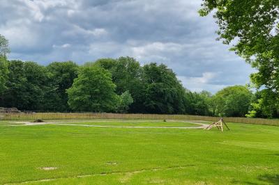 Des chèvres se tiennent près d'une clôture dans un champ herbeux entouré de barrières en bois.