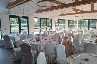 Des chèvres se tiennent près d'une clôture dans un champ herbeux entouré de barrières en bois.