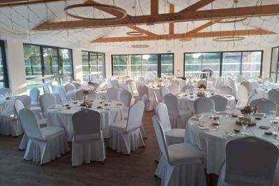 Des chèvres se tiennent près d'une clôture dans un champ herbeux entouré de barrières en bois.