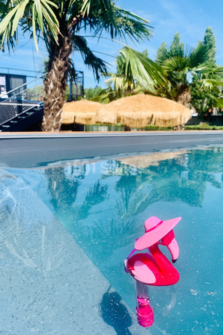 Jouet rose en forme de flamant flottant dans une piscine, avec des palmiers et une paillote en arrière-plan.