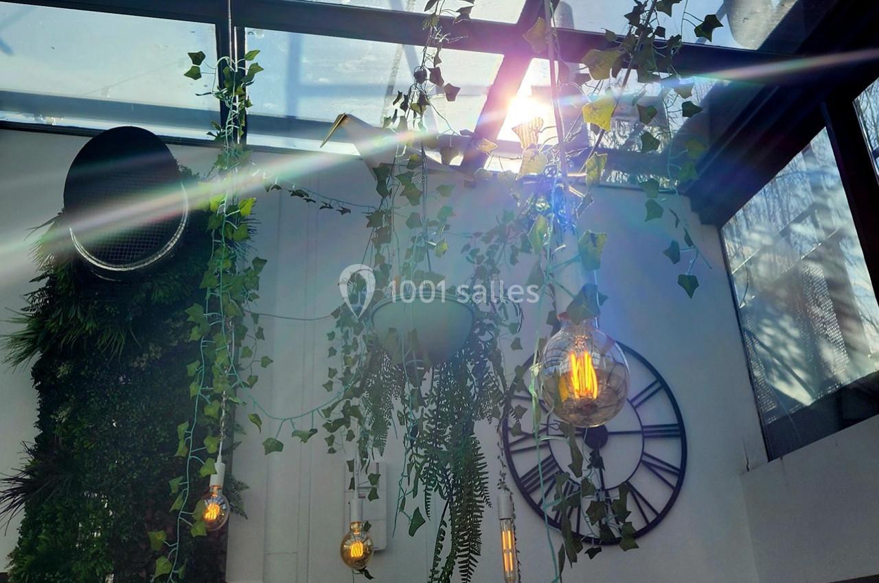 Plantes suspendues et luminaires décoratifs éclairés par la lumière naturelle traversant une verrière.