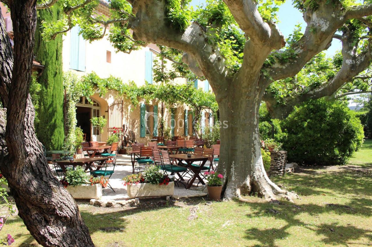 Hôtel Mas des Grès & Restaurant Sous les Platanes - galerie - photo 3