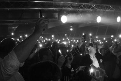 Allée pavée bordée d'arbres et de bâtiments en bois dans un cadre verdoyant sous un ciel dégagé.