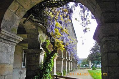 Location salle Lesneven (Finistère) - Les Arcades-Maison d’Accueil #32