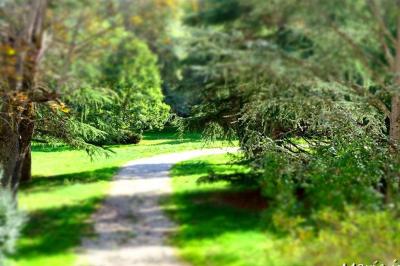 Miniature Location salle Castres (Tarn) - Domaine Del Luz #6 Location salle Castres (Tarn) - Domaine Del Luz #14