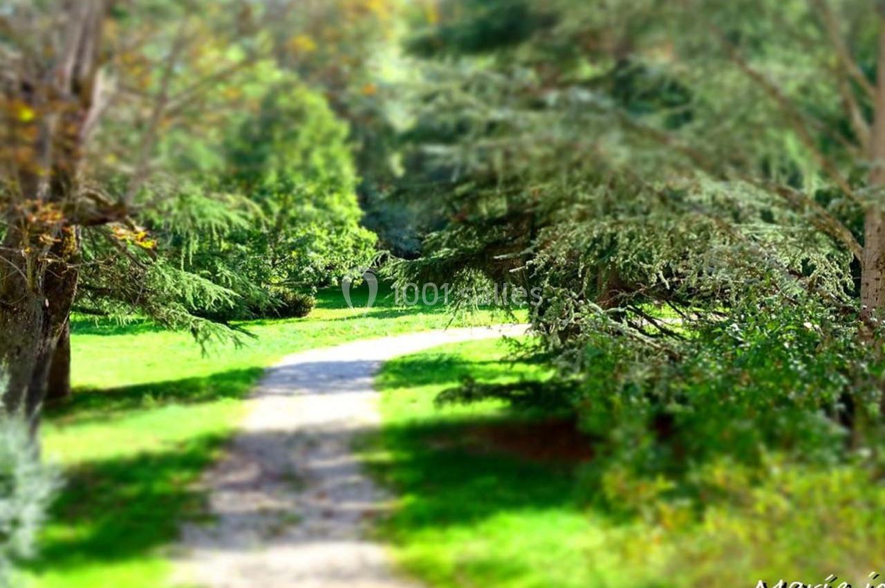 Location salle Castres (Tarn) - Domaine Del Luz #6