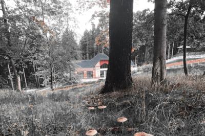 Location salle Amplepuis (Rhône) - Domaine du Crêt #14