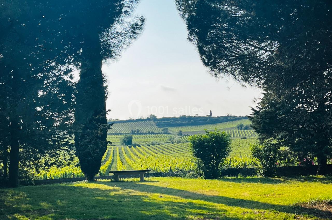 COUR VUE SUR VIGNE Paysage de vignobles sous un ciel clair, encadré par des arbres avec un banc en premier plan.