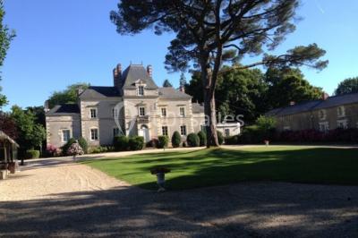 Château De La Pigossière - photo 1
