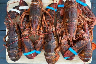 Traiteur Toulouse (Haute-Garonne) - Horace Events  #13