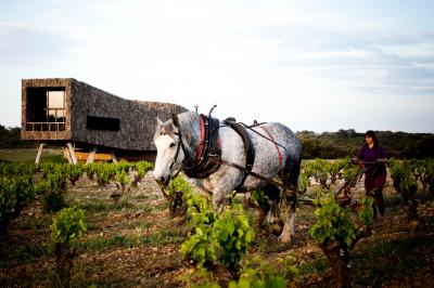 Miniature Location salle Assignan (Hérault) - Village Castigno #24 Location salle Assignan (Hérault) - Village Castigno #124