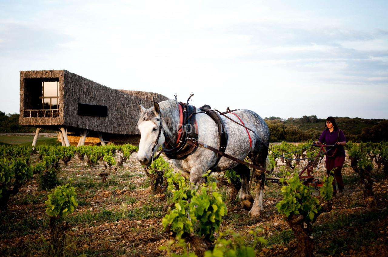 Location salle Assignan (Hérault) - Village Castigno #24