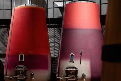 Miniature Location salle Assignan (Hérault) - Village Castigno #54 Location salle Assignan (Hérault) - Village Castigno #124