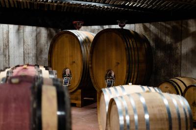 Miniature Location salle Assignan (Hérault) - Village Castigno #59 Location salle Assignan (Hérault) - Village Castigno #124