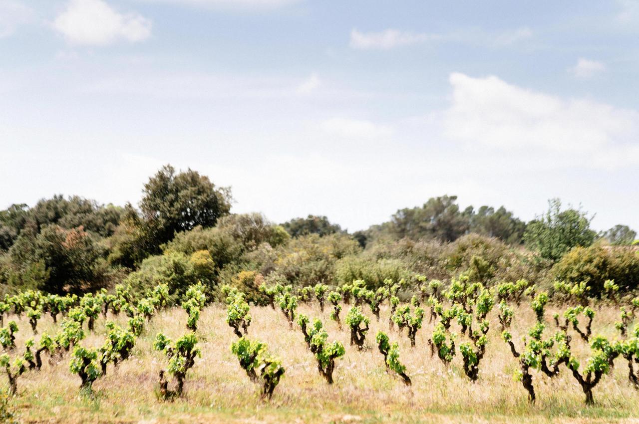 Location salle Assignan (Hérault) - Village Castigno #64