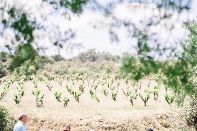 Miniature Location salle Assignan (Hérault) - Village Castigno #70 Location salle Assignan (Hérault) - Village Castigno #124