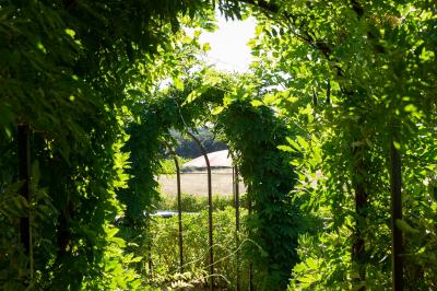 Miniature Location salle Assignan (Hérault) - Village Castigno #122 Location salle Assignan (Hérault) - Village Castigno #124