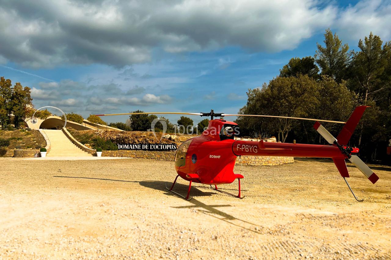 Domaine de l'Octopus - galerie - photo 11